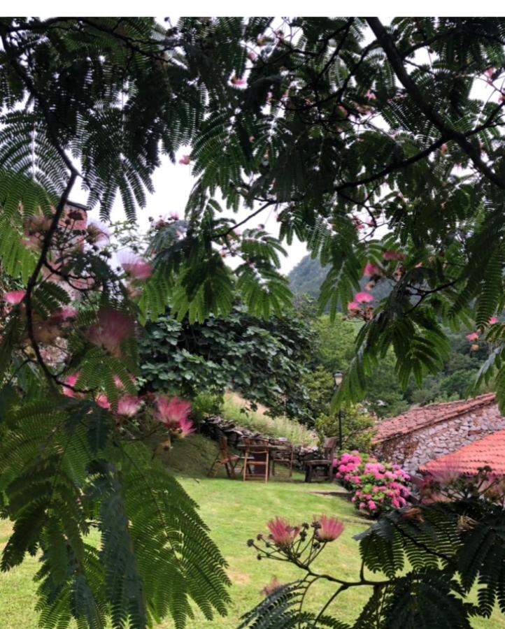 Hdec Hosteria De Castaneda Alojamiento Turistico Puente Viesgo Bagian luar foto