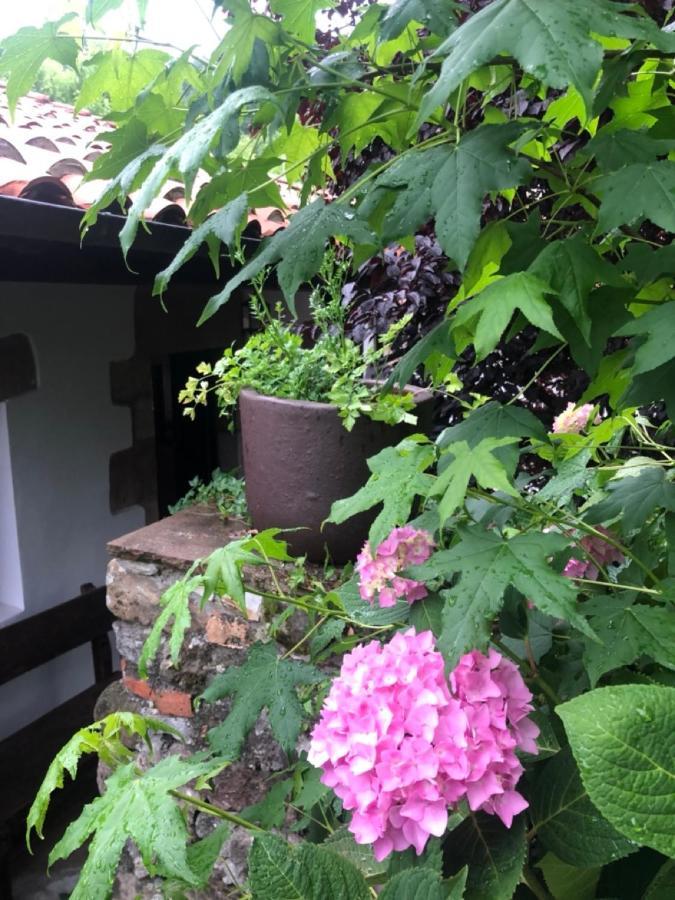 Hdec Hosteria De Castaneda Alojamiento Turistico Puente Viesgo Bagian luar foto